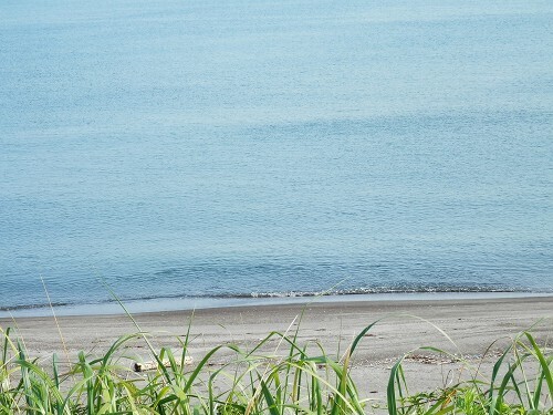 海 (1).jpg