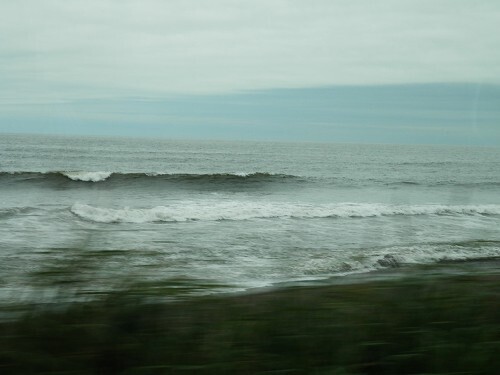 海 (4).jpg