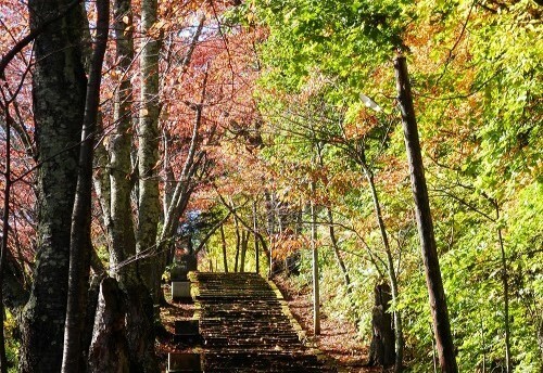 紅葉 (1).jpg